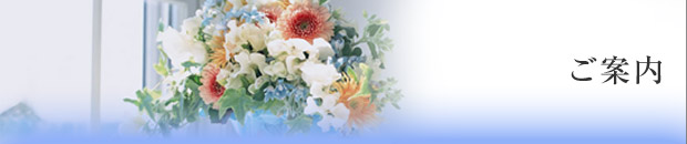 システムのご案内